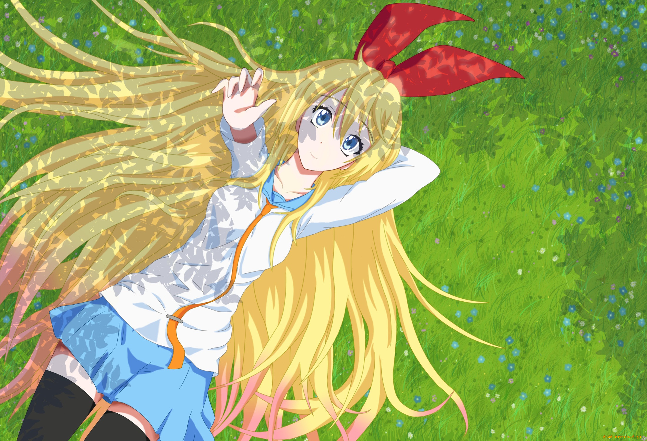 , nisekoi, , , 
